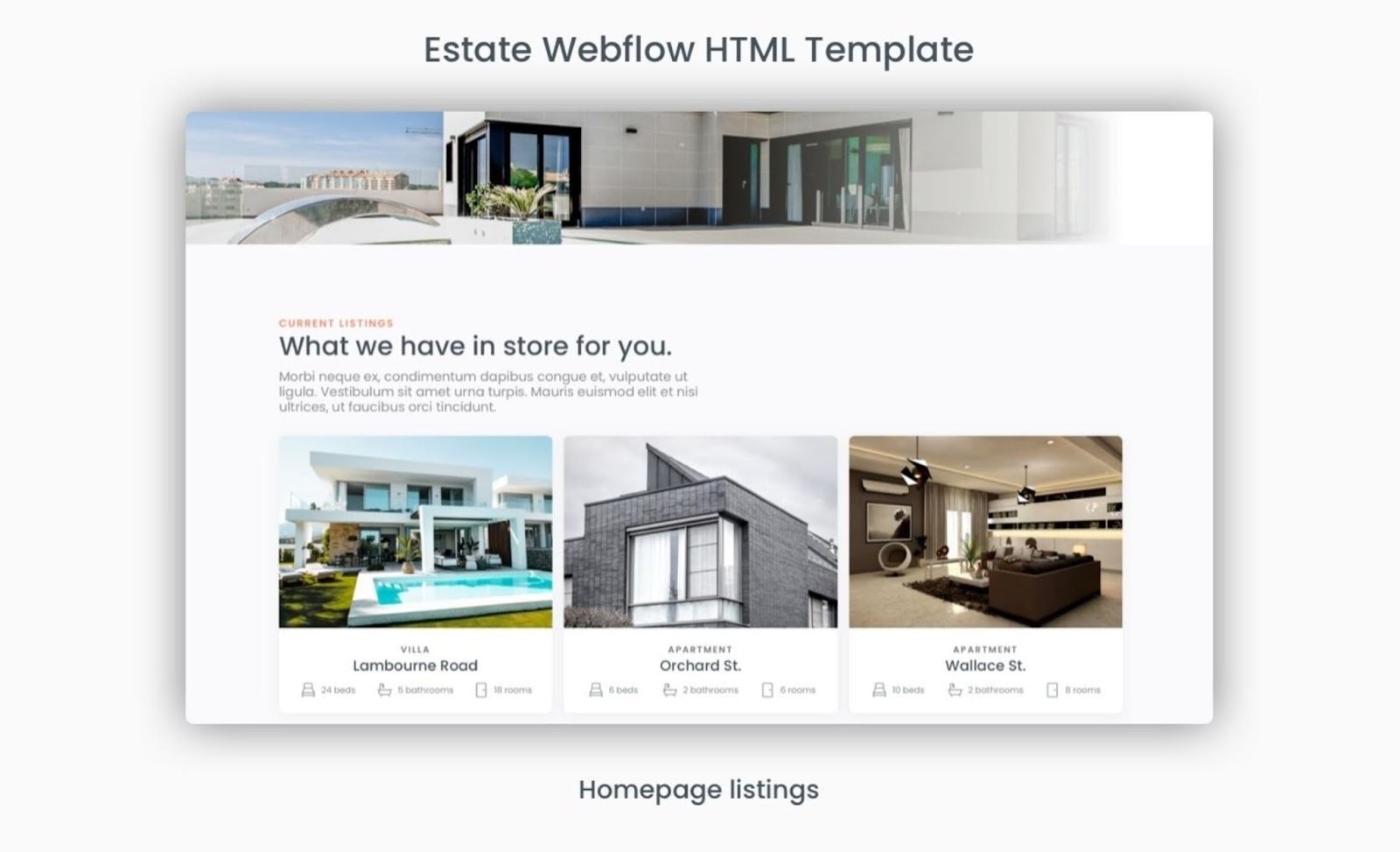 13 Eye catching Real Estate Website Templates