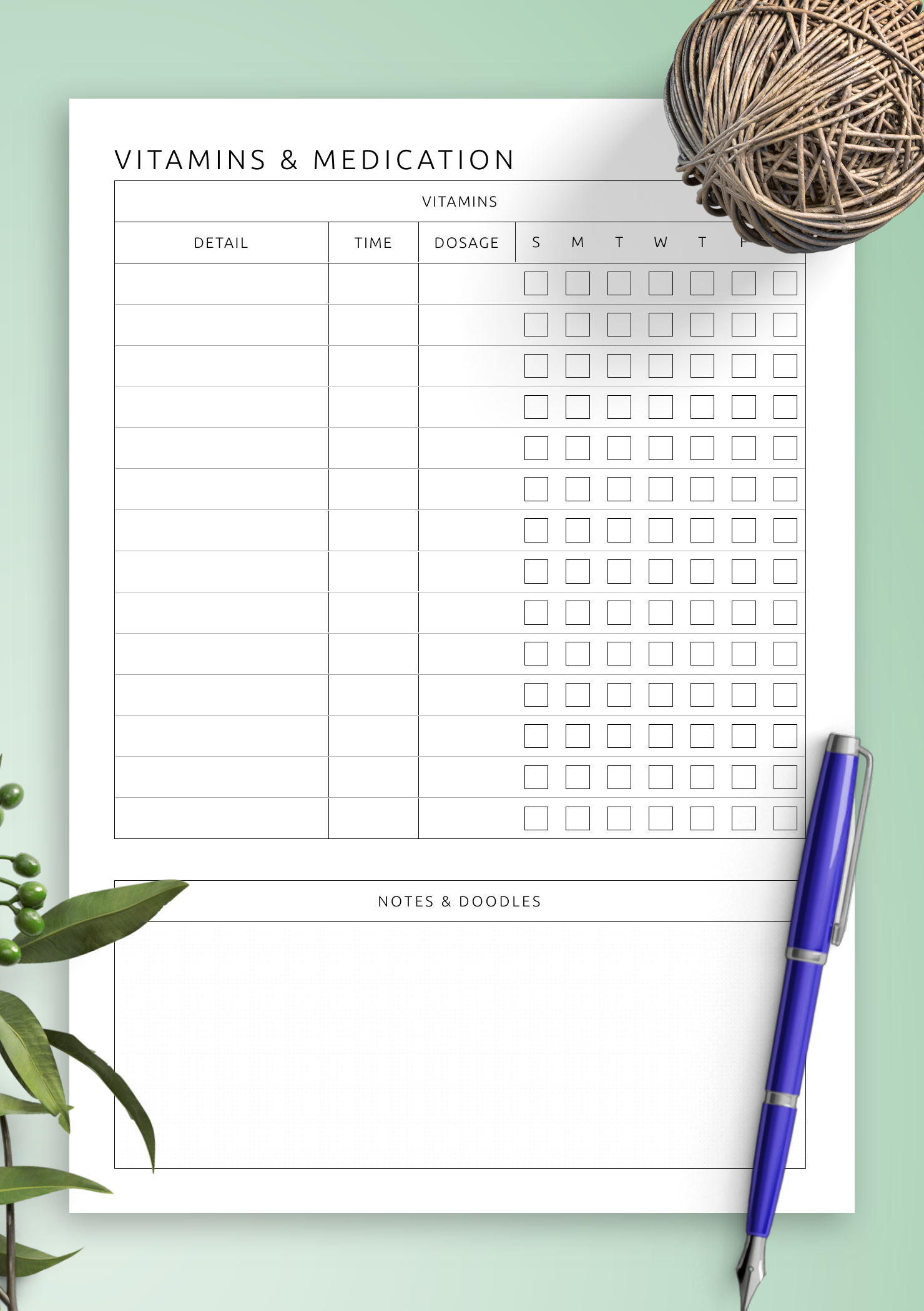 Download Printable Vitamins U0026 Medication Template PDF