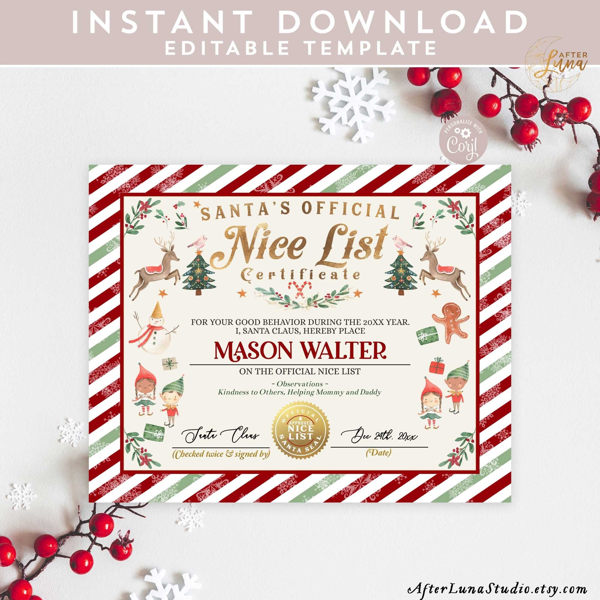 EDITABLE Nice List Certificate Printable Santa s Official Document Girl Boy Elf Nice List Certificate Template Instant Download 215 Etsy